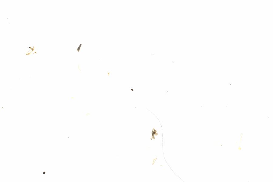 Fullscreen Image