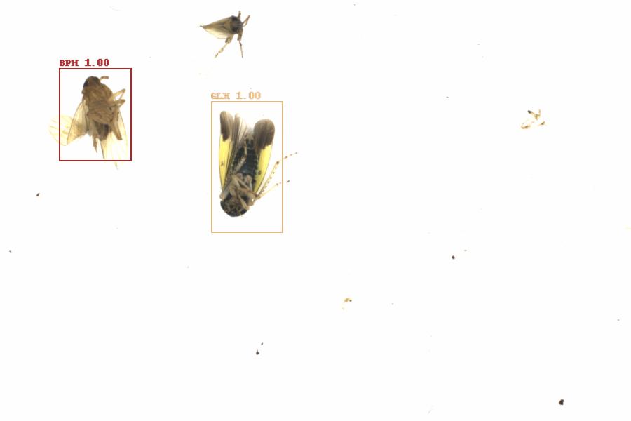 Fullscreen Image