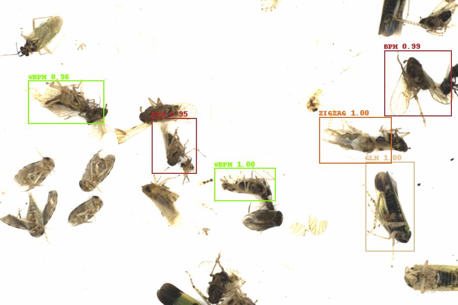 Fullscreen Image