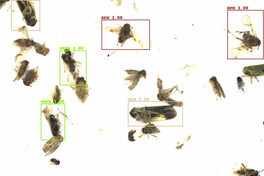 Fullscreen Image