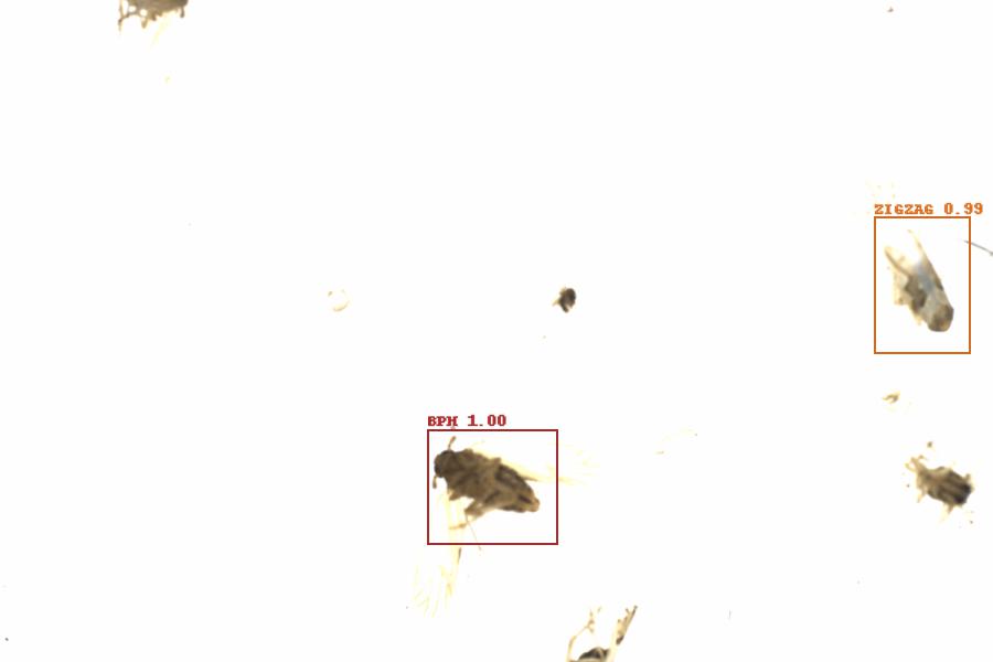 Fullscreen Image