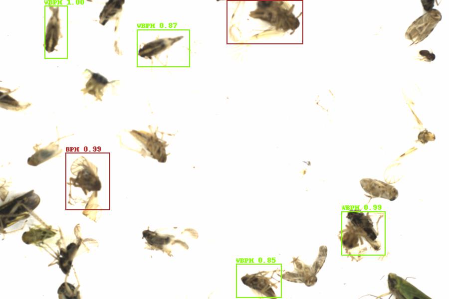Fullscreen Image
