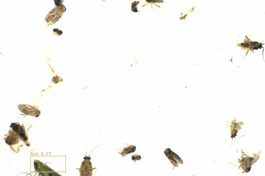 Fullscreen Image
