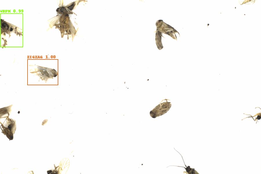 Fullscreen Image