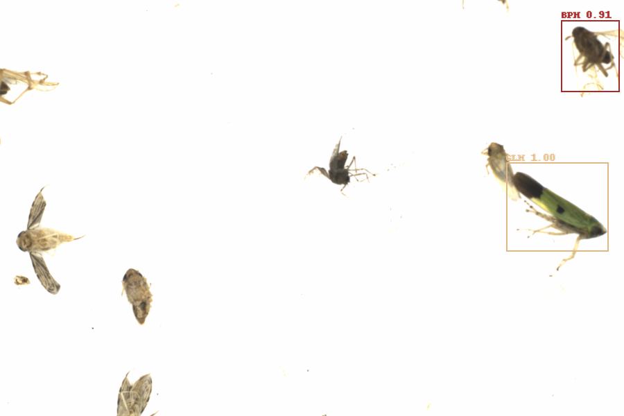 Fullscreen Image