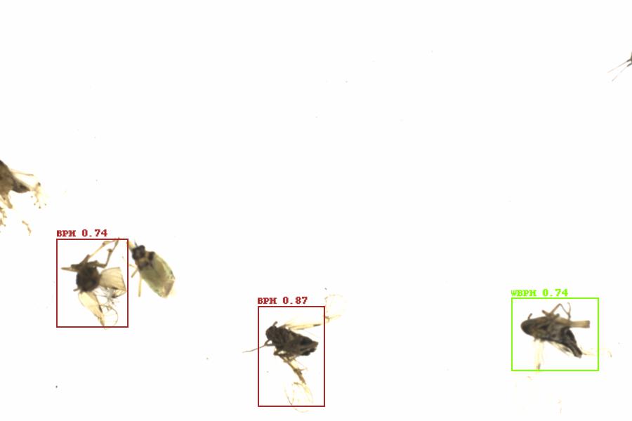 Fullscreen Image