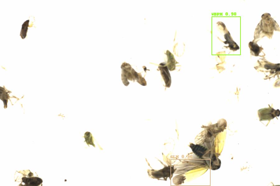 Fullscreen Image