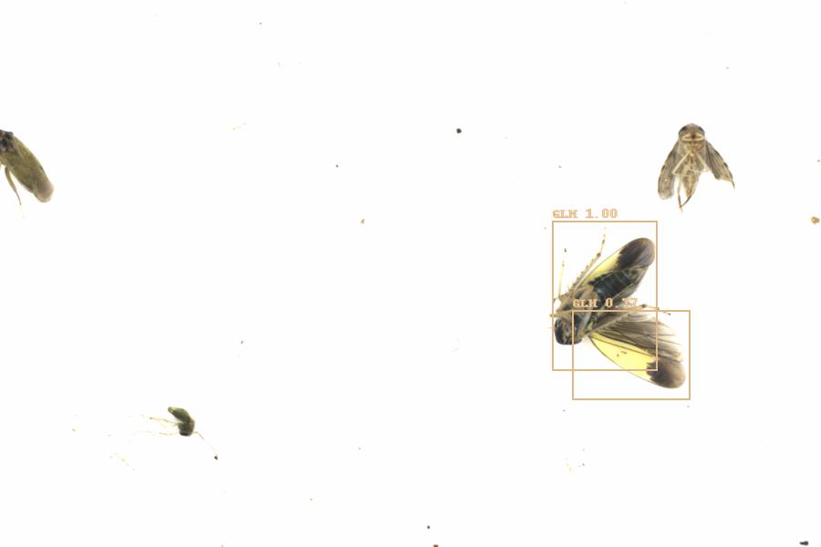Fullscreen Image