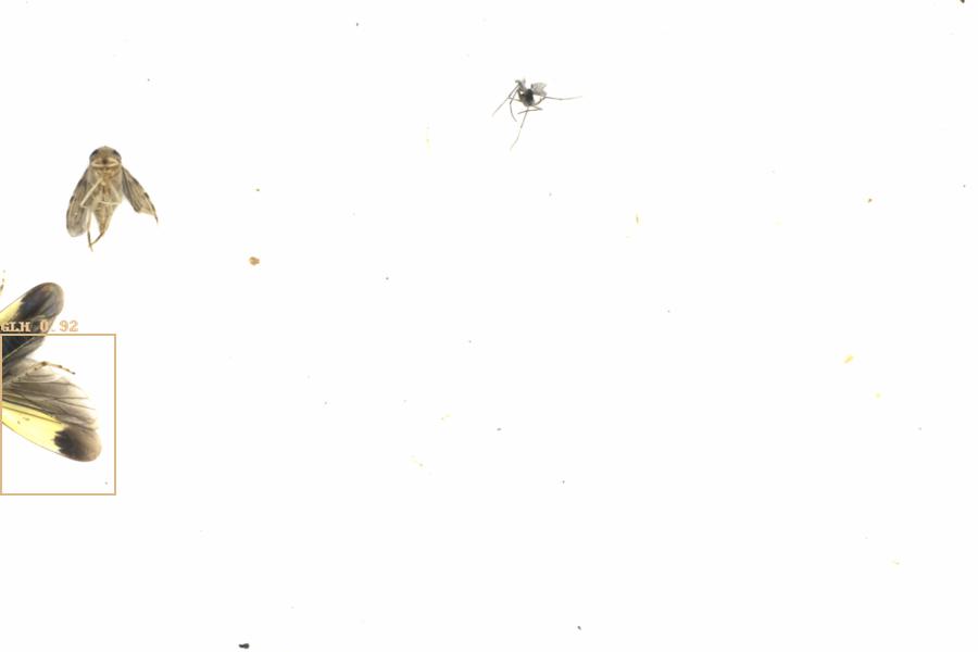 Fullscreen Image