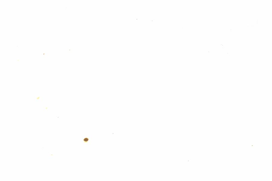Fullscreen Image