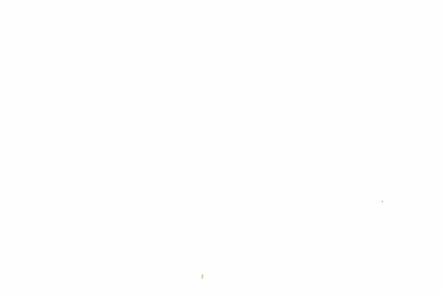 Fullscreen Image