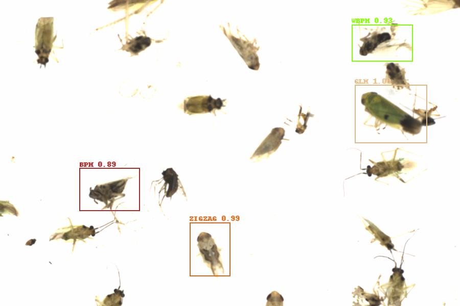 Fullscreen Image