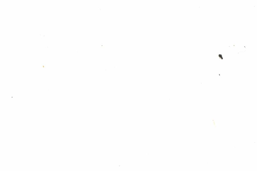 Fullscreen Image