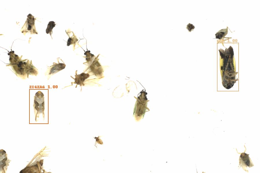 Fullscreen Image