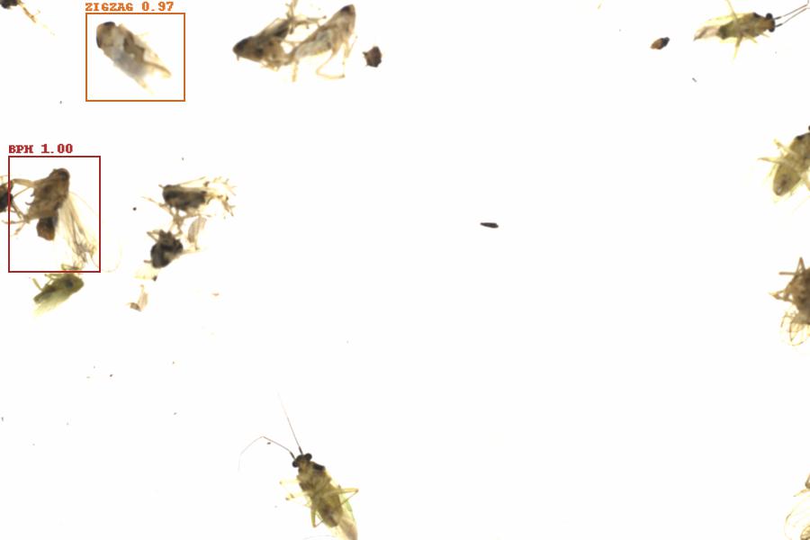 Fullscreen Image
