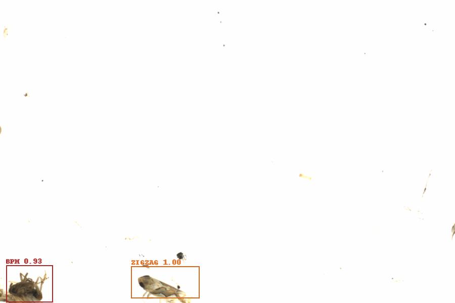 Fullscreen Image