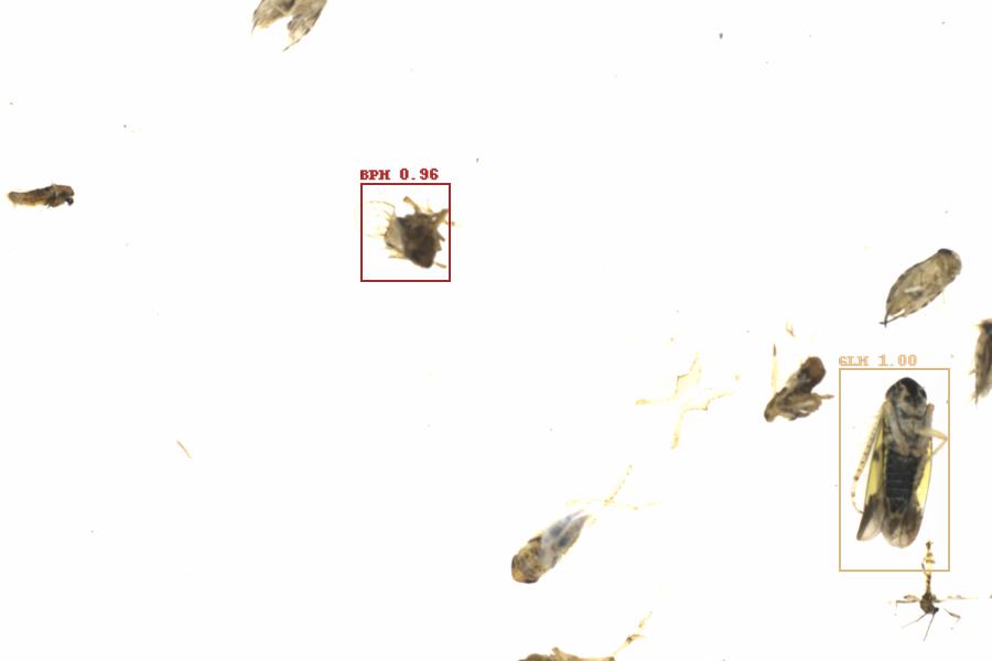 Fullscreen Image