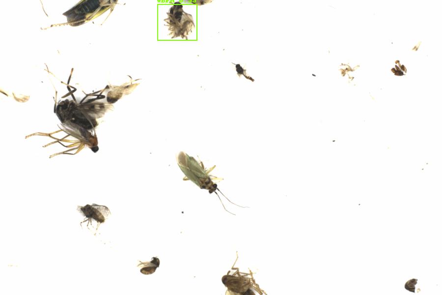 Fullscreen Image