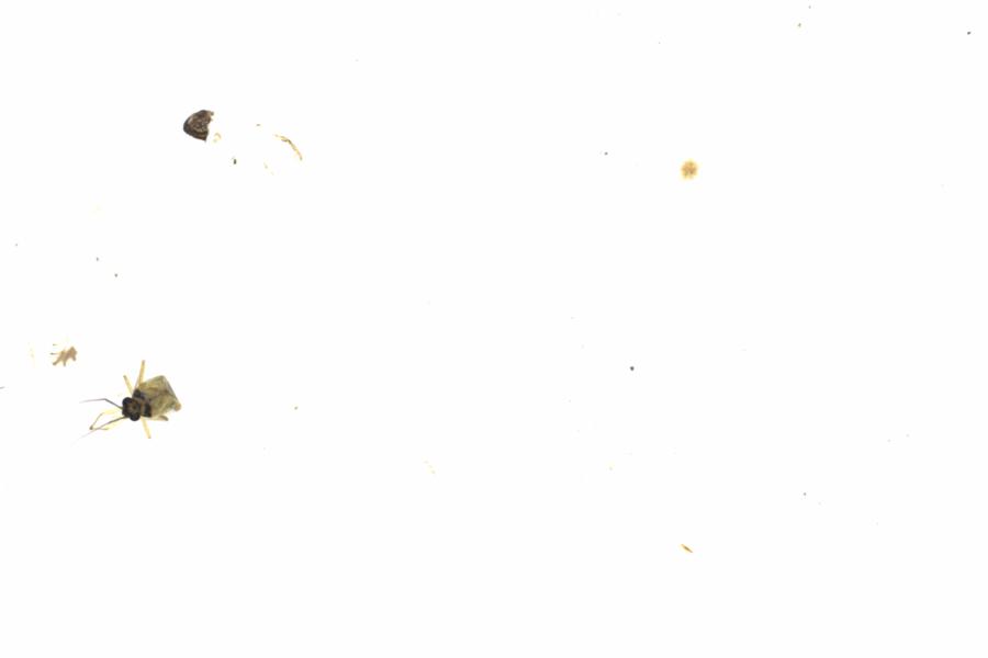 Fullscreen Image