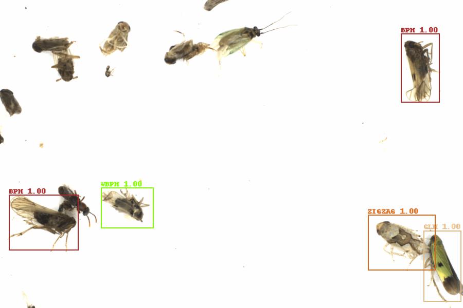 Fullscreen Image