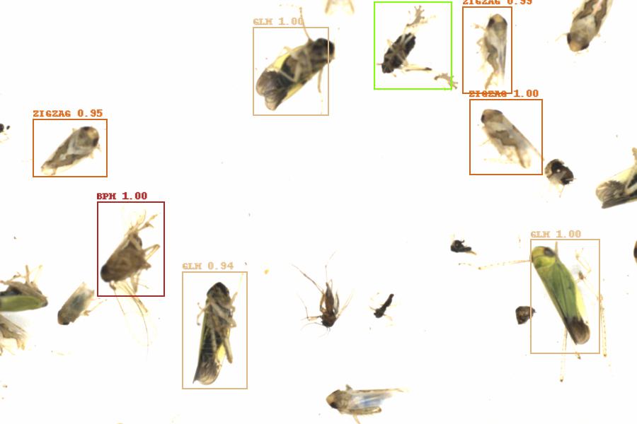 Fullscreen Image