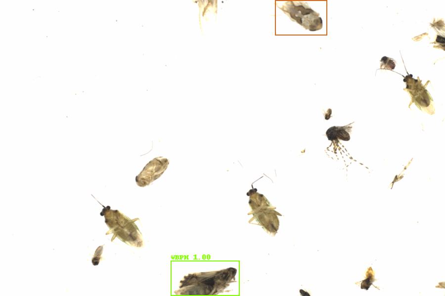 Fullscreen Image