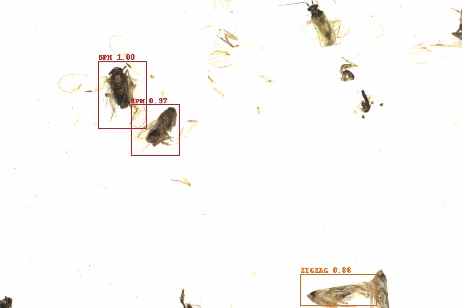 Fullscreen Image