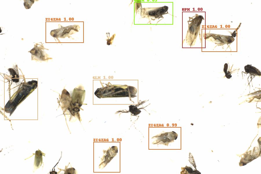 Fullscreen Image