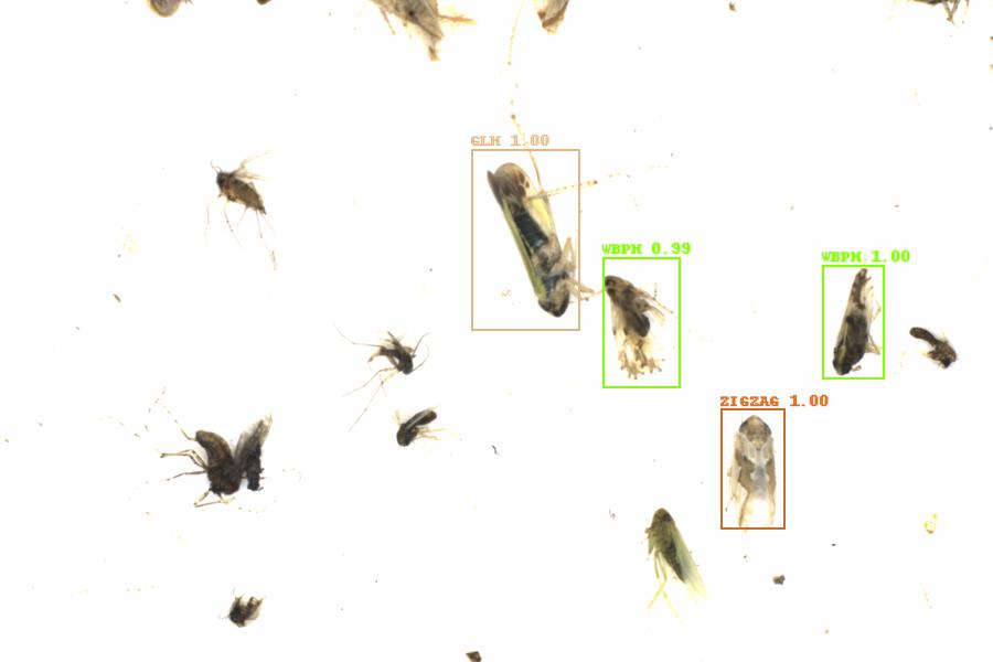 Fullscreen Image
