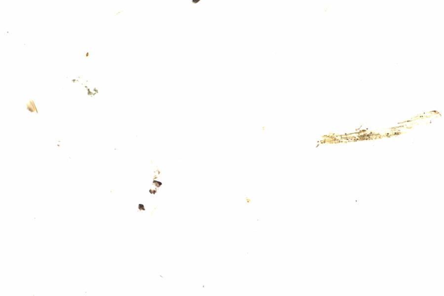 Fullscreen Image