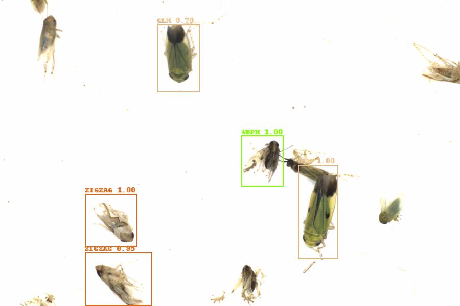 Fullscreen Image