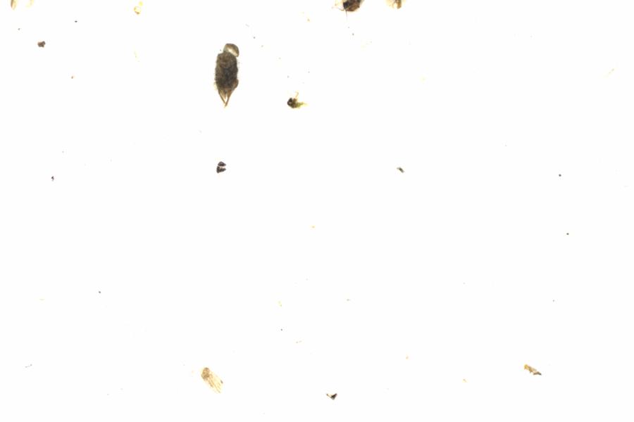 Fullscreen Image
