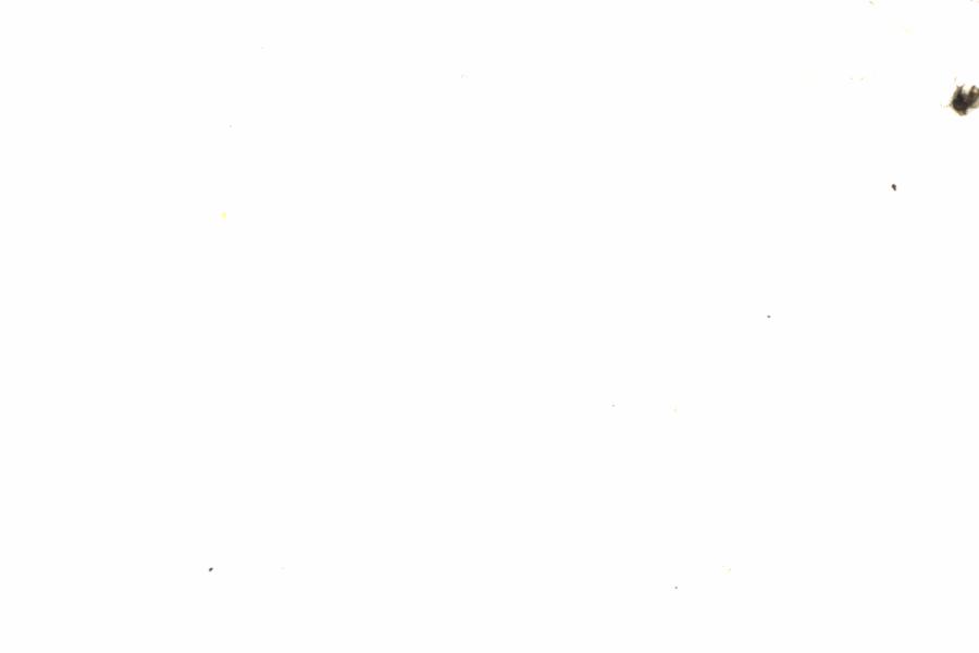 Fullscreen Image