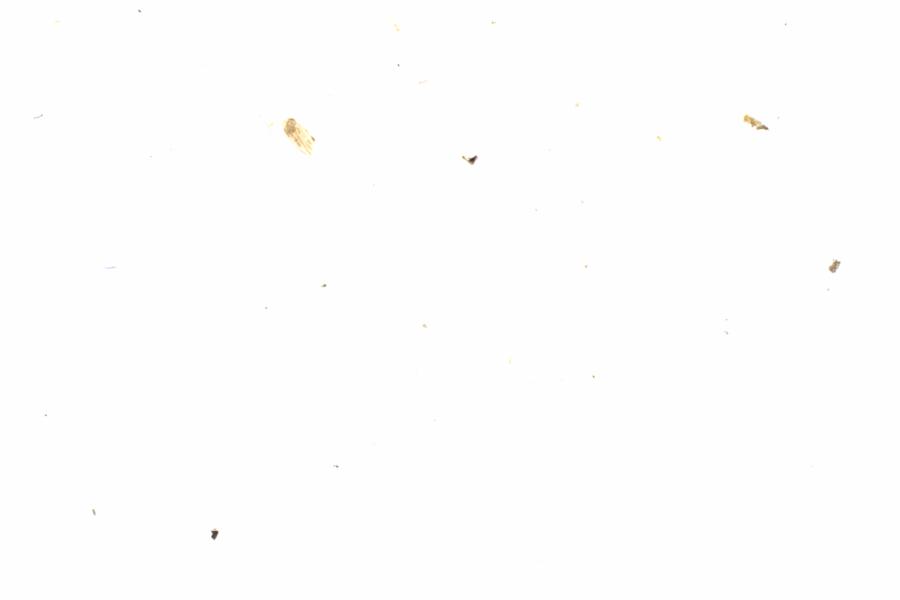Fullscreen Image