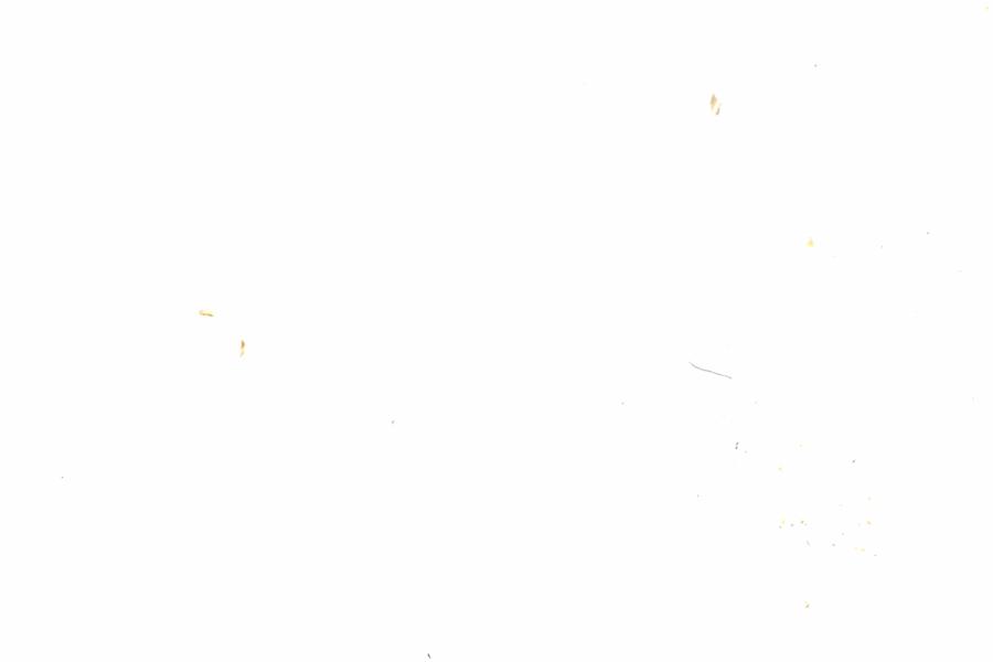 Fullscreen Image