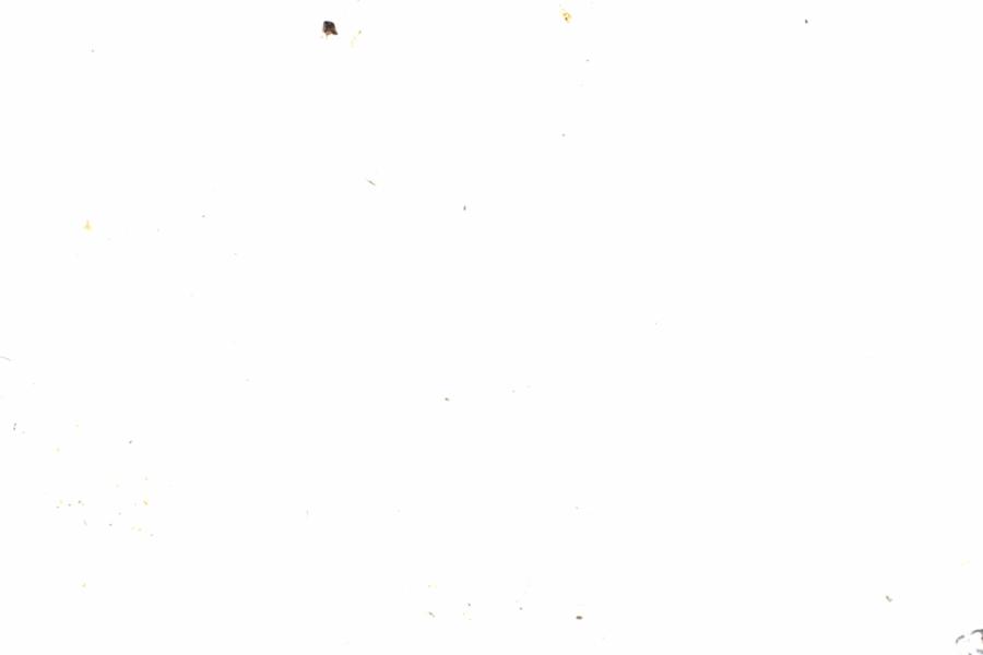 Fullscreen Image