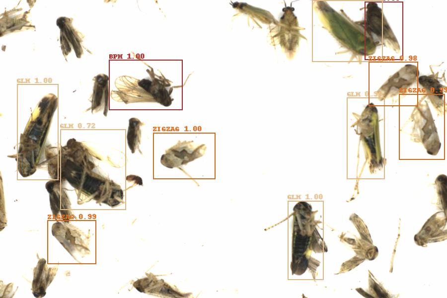 Fullscreen Image