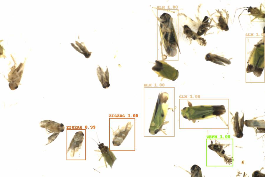 Fullscreen Image