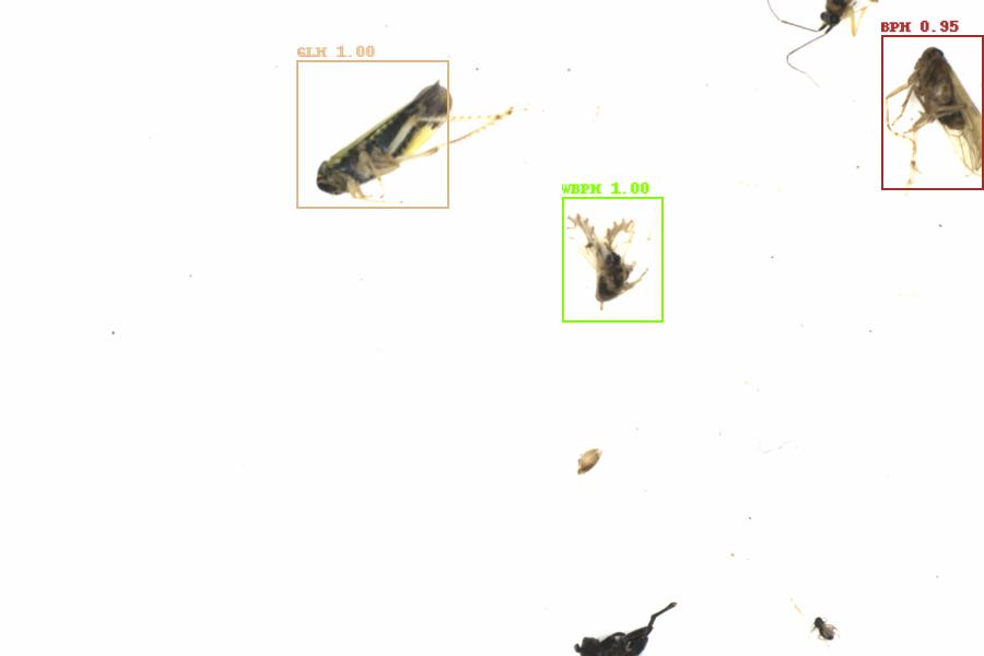 Fullscreen Image