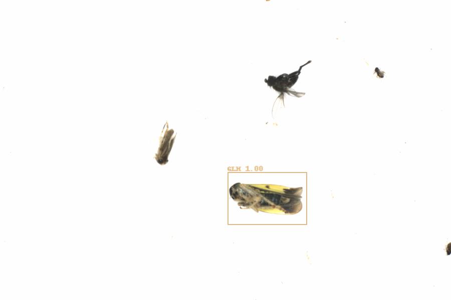 Fullscreen Image
