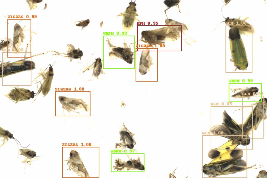 Fullscreen Image