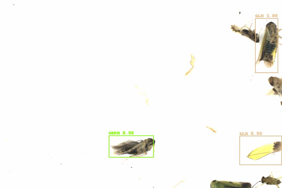 Fullscreen Image