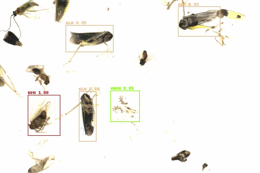 Fullscreen Image
