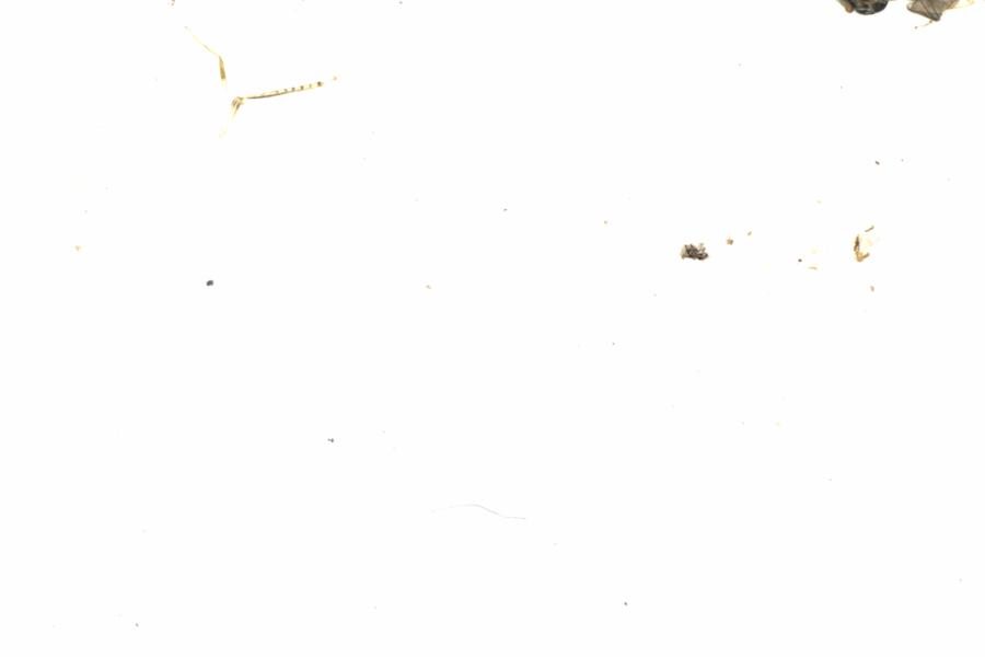 Fullscreen Image