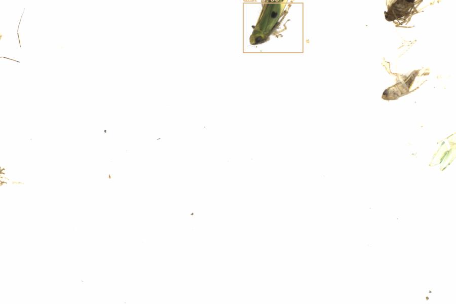 Fullscreen Image