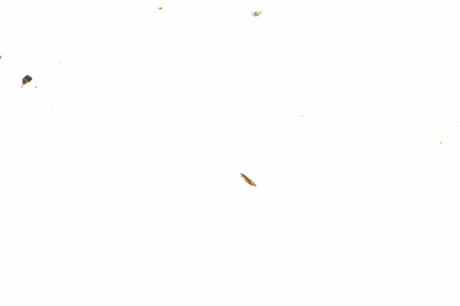 Fullscreen Image