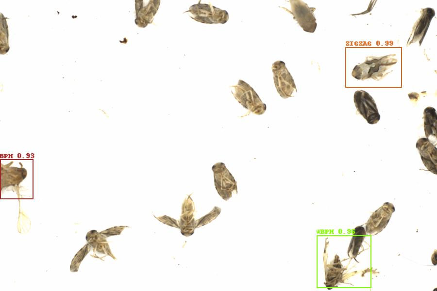 Fullscreen Image