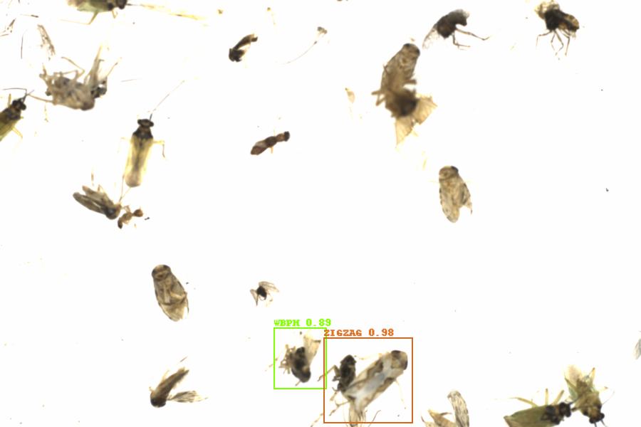 Fullscreen Image