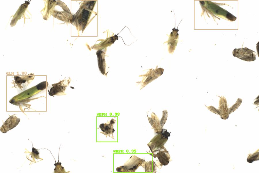 Fullscreen Image