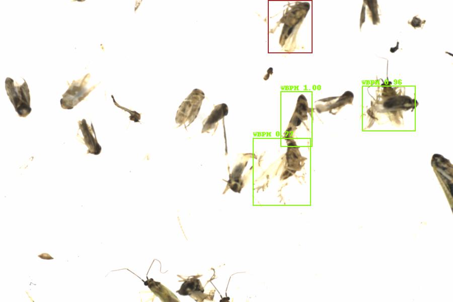 Fullscreen Image